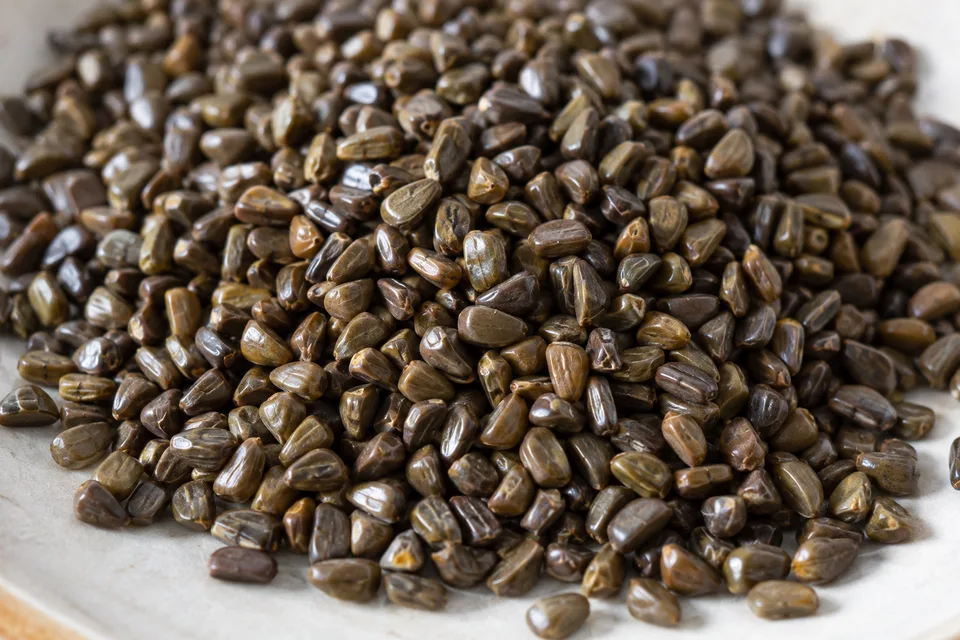Representative cassia tora image.