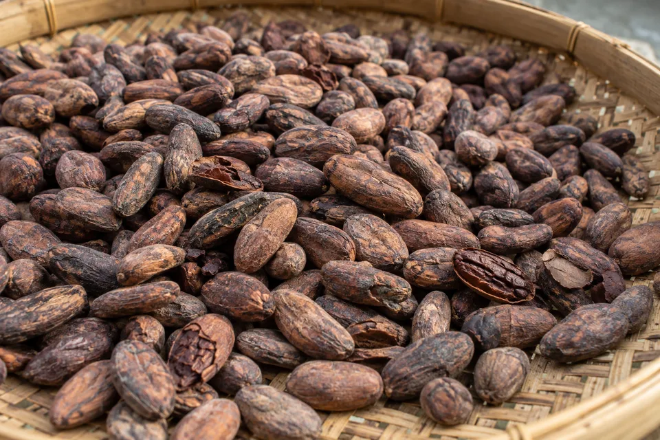 Representative cocoa image.
